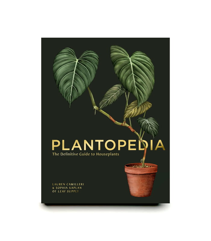 bk2-nonfiction-product-7.jpg Plantopedia The Definitive Guide to Houseplants - Image 1